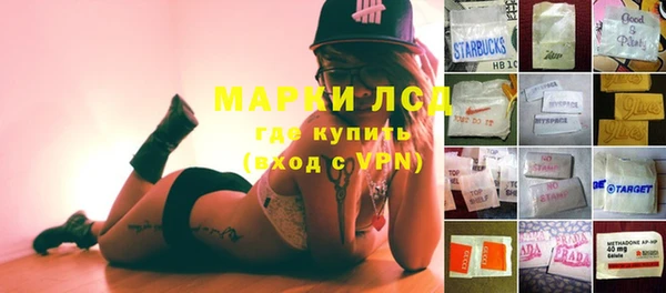 хмурый Арсеньев