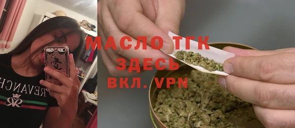хмурый Арсеньев