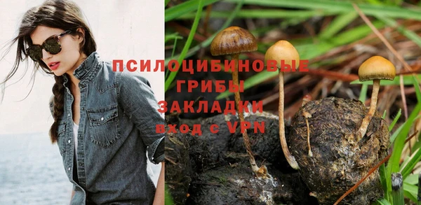 бутират Аркадак