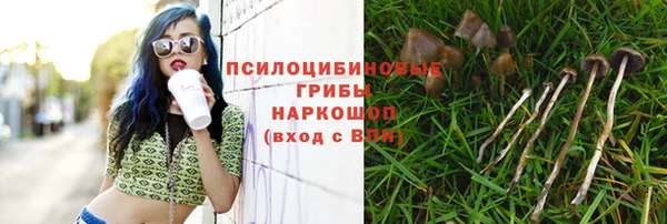 хмурый Арсеньев