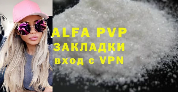 хмурый Арсеньев