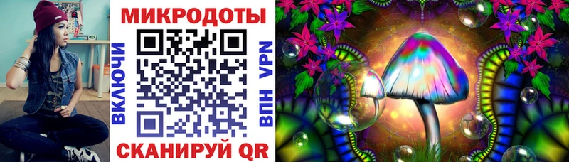 Псилоцибиновые грибы Psilocybe Артёмовский